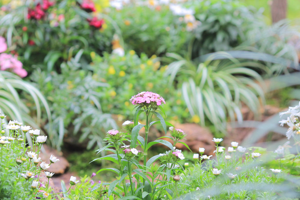 green gardening