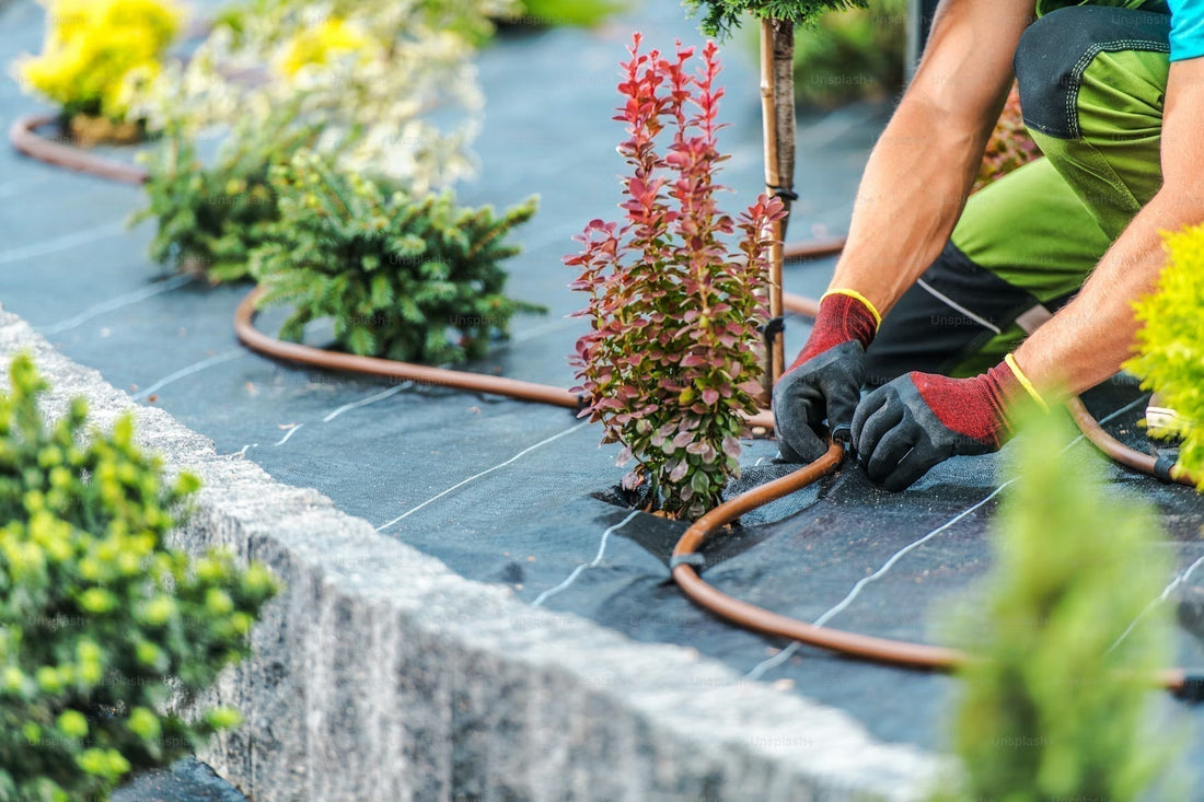 How to Size a Greywater Drip Irrigation System