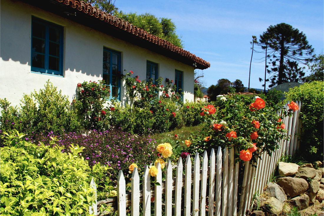 Drought Is the New Normal. Your Garden Can Still Thrive.
