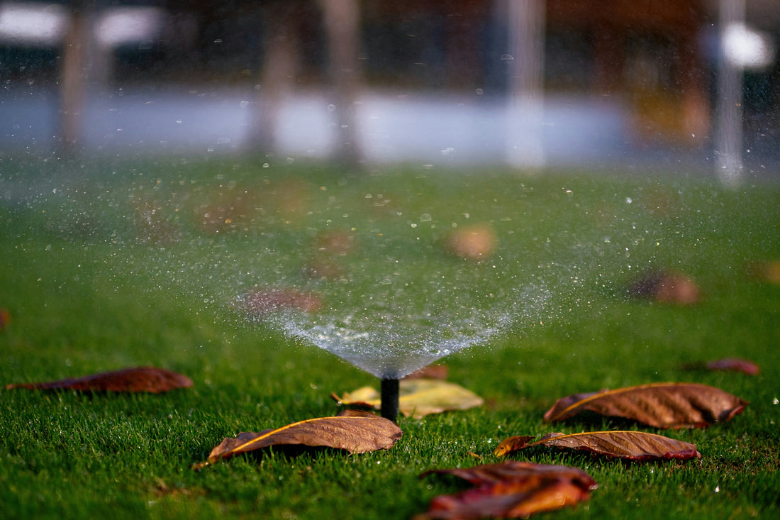 Greywater Irrigation: Myths, Benefits, and Best Practices